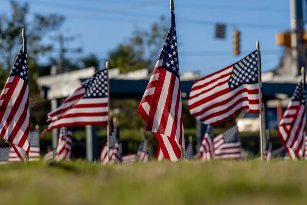 Grupo Banderas Estadounidenses Ondean Brisa Durante Veterans Memorial Weekend — Foto de Stock