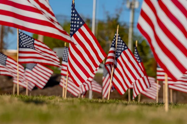 Группа Американских Флагов Развевается Ветру Время Празднования Дня Памяти Ветеранов — стоковое фото