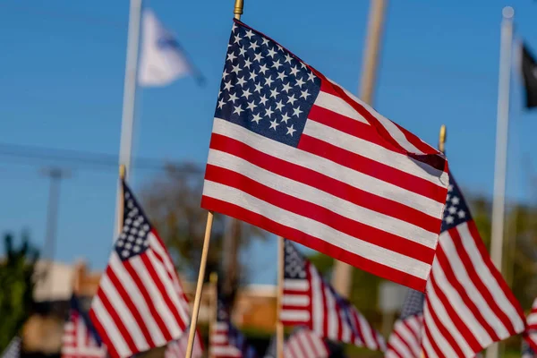 Eine Gruppe Amerikanischer Flaggen Weht Wind Während Des Veterans Memorial — Stockfoto