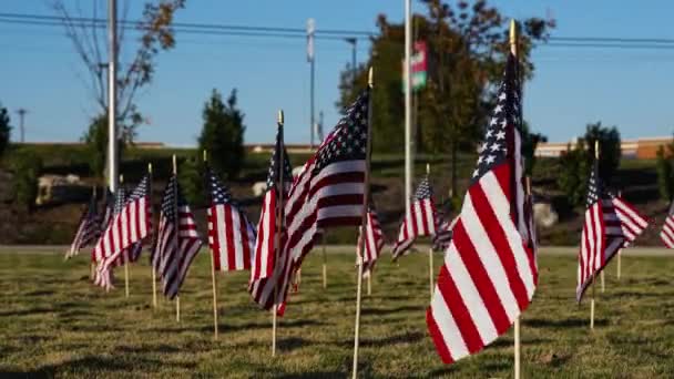 Gruppo Bandiere Americane Sventola Nella Brezza Durante Veterans Memorial Weekend — Video Stock