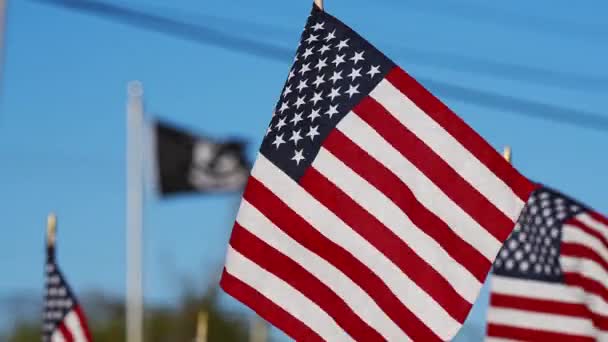 Група Американських Прапорів Коливається Від Вітру Під Час Меморіальних Вихідних — стокове відео