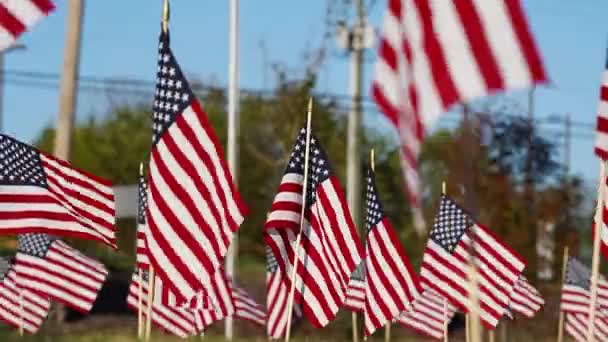 Grupo Banderas Estadounidenses Ondean Brisa Durante Veterans Memorial Weekend — Vídeos de Stock