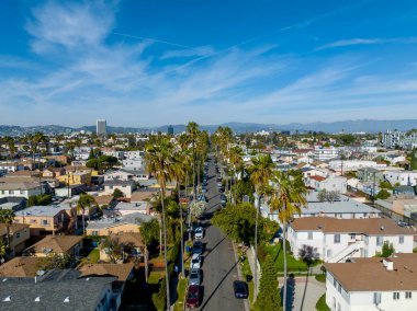 A row of palm trees line a residential street near Los Angles, California