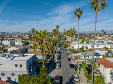 A row of palm trees line a residential street near Los Angles, California