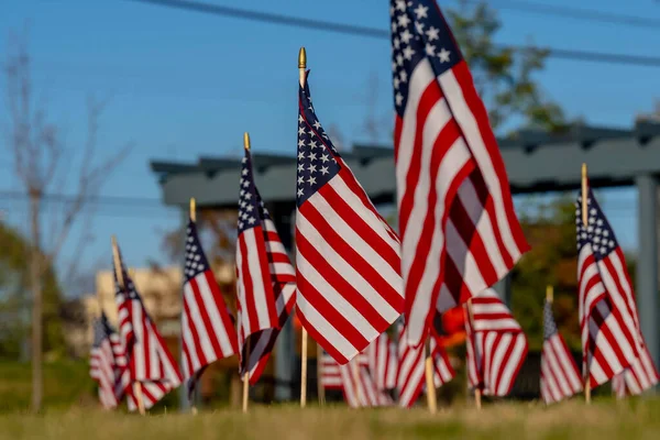 Grupa Amerykańskich Flag Powiewa Wietrze Podczas Weekendu Pamięci Weteranów — Zdjęcie stockowe