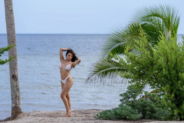 Sinanche Yucatan Meksika yakınlarındaki Meksika Körfezi 'nin kıyısındaki plajın tadını çıkaran göz kamaştırıcı bir Latin modeli.