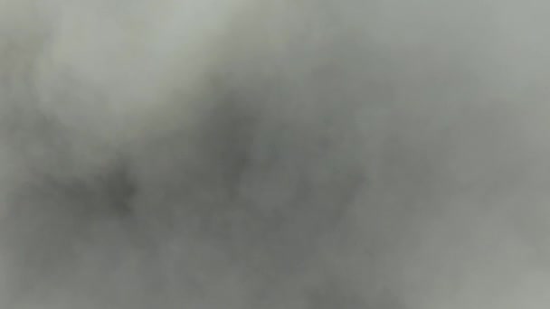 Drone Personale Che Vola Nella Nebbia Una Giornata Autunnale — Video Stock