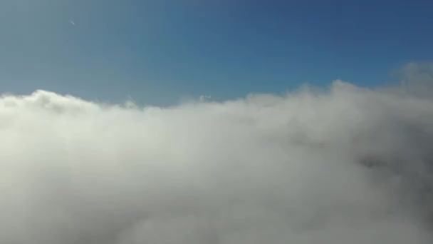 Osobisty Dron Lecący Przez Mgłę Jesienny Dzień — Wideo stockowe