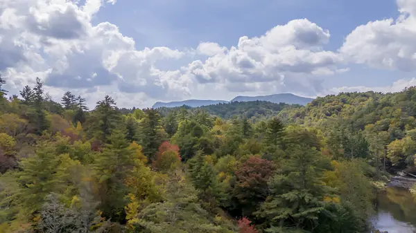 Вид Воздуха Меняющиеся Листья Осенью Возле Округа Эйвери Северная Каролина — стоковое фото