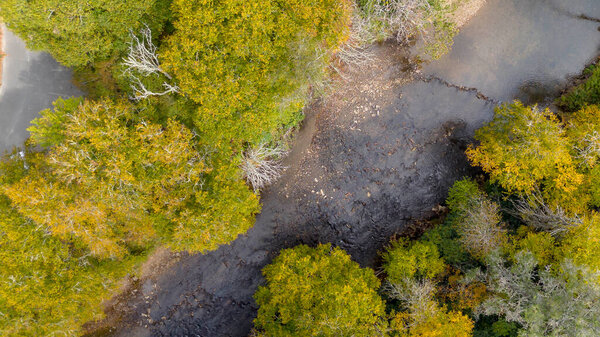 Aerial view of the changing leaves in autumn near Avery County, North Carolina.