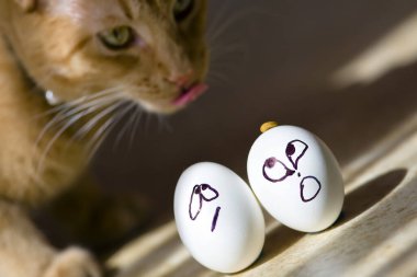 Paskalya tatili yaklaşırken, meraklı kedi yiyeceklerine doğru heyecanla zıpladı. Bıyıkları seğirerek bayram ziyafeti bekliyordu..