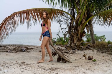 Bikinili, güneşli esmer, kumlu sahillerde Karayipler 'de eğleniyor, güzelliği macera ile birleştirerek hindistan cevizi avlıyor.