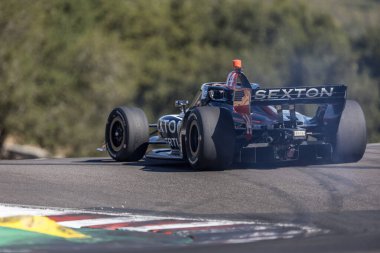 Woodbury, Connecticut 'tan SANTINO FERRUCCI (14), Salinas' taki WeatherTech Raceway Laguna Seca 'da Monterey' in Firestone Grand Prix 'i için antrenman yapıyor..