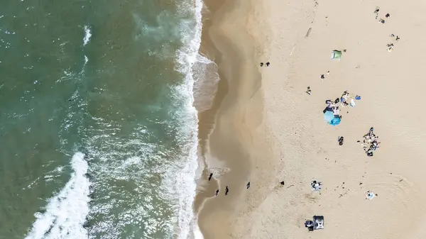 stock image Swimmers glide through crystal-blue waves off California's coast, under a golden sun on a perfect summer day, painting a serene aquatic tableau.