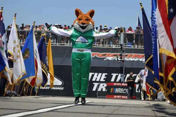 stock image Pocono Raceway Mascot, Tricky, works up the crowd before the Great American Getaway 400 Presented by VISITPA.com in Long Pond, PA, USA