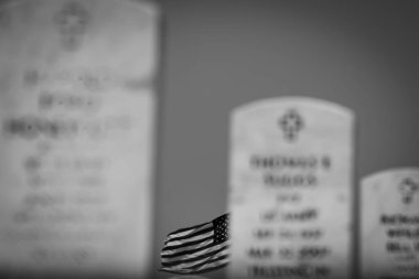 Huzurlu bir günde bir gazi mezarlığının genel manzarası. Rüzgarda dalgalanan Amerikan bayrakları, hizmet edenleri onurlandırıyor..