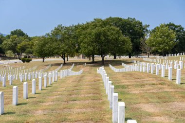 Huzurlu bir günde bir gazi mezarlığının genel manzarası. Rüzgarda dalgalanan Amerikan bayrakları, hizmet edenleri onurlandırıyor..