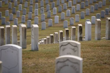 Huzurlu bir günde bir gazi mezarlığının genel manzarası. Rüzgarda dalgalanan Amerikan bayrakları, hizmet edenleri onurlandırıyor..