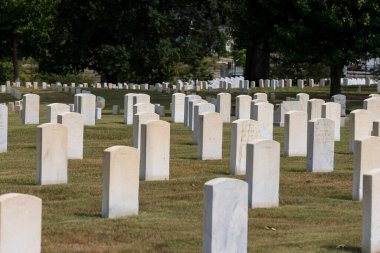 Huzurlu bir günde bir gazi mezarlığının genel manzarası. Rüzgarda dalgalanan Amerikan bayrakları, hizmet edenleri onurlandırıyor..