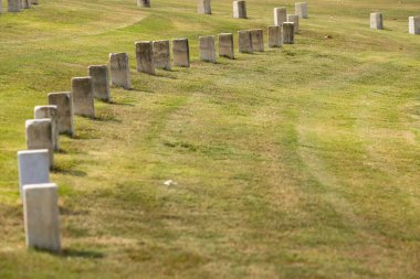 Huzurlu bir günde bir gazi mezarlığının genel manzarası. Rüzgarda dalgalanan Amerikan bayrakları, hizmet edenleri onurlandırıyor..