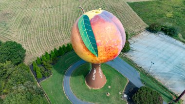 The Peachoid is a 135-foot water tower in Gaffney, SC, resembles a peach and holds 1 million gallons. Built in 1981, its a landmark on I-85, showcasing unique architecture and attracting tourists. clipart