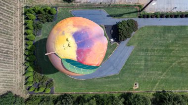 Peachoid, Gaffney, SC 'de 50 metrelik bir su kulesidir. Şeftaliye benzer ve 1 milyon galon su taşır. 1981 'de inşa edilmiş, I-85' te bir dönüm noktası, eşsiz bir mimari sergileniyor ve turistleri cezbediyor..