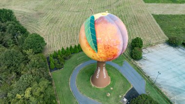 Peachoid, Gaffney, SC 'de 50 metrelik bir su kulesidir. Şeftaliye benzer ve 1 milyon galon su taşır. 1981 'de inşa edilmiş, I-85' te bir dönüm noktası, eşsiz bir mimari sergileniyor ve turistleri cezbediyor..
