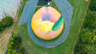 Peachoid, Gaffney, SC 'de 50 metrelik bir su kulesidir. Şeftaliye benzer ve 1 milyon galon su taşır. 1981 'de inşa edilmiş, I-85' te bir dönüm noktası, eşsiz bir mimari sergileniyor ve turistleri cezbediyor..
