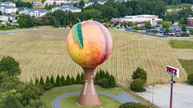 Peachoid, Gaffney, SC 'de 50 metrelik bir su kulesidir. Şeftaliye benzer ve 1 milyon galon su taşır. 1981 'de inşa edilmiş, I-85' te bir dönüm noktası, eşsiz bir mimari sergileniyor ve turistleri cezbediyor..