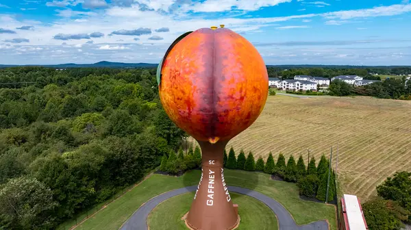 Peachoid, Gaffney, SC 'de 50 metrelik bir su kulesidir. Şeftaliye benzer ve 1 milyon galon su taşır. 1981 'de inşa edilmiş, I-85' te bir dönüm noktası, eşsiz bir mimari sergileniyor ve turistleri cezbediyor..