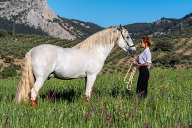 Muhteşem İspanyol bayan ve görkemli Endülüs atı güzelliği ve zarafeti yemyeşil tarlada somutlaştırıyor..