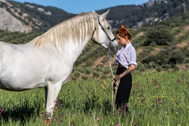 Muhteşem İspanyol bayan ve görkemli Endülüs atı güzelliği ve zarafeti yemyeşil tarlada somutlaştırıyor..