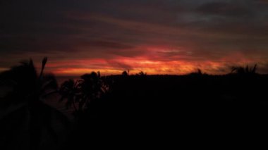 Güneş Meksika Körfezi 'nin üzerinden doğar. Sinanche, Yucatan yakınlarında. Denizde dans eden kırmızı bir parıltı yayar. Rüzgarda sallanan palmiyeler Karayip cennetinin güzelliğini artırıyor..