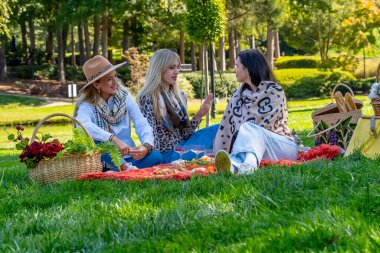 Üç güzel Avrupalı kadın bir battaniyeye oturmuş, altın sonbahar ağaçlarının altında gülüşlerini ve düşüncelerini paylaşıyorlar. Canlı yapraklarla çevrelenmiş olarak, taze, güneşli havada yemek, şarap ve sıcak arkadaşlığın tadını çıkarıyorlar..