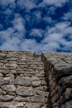 Telchac Yucatan Meksika 'daki Xcambo Maya harabeleri, antik tarihi heykellere, piramitlere ve bereketli manzaraların ortasında sergilenen zengin bir kültürel duvar halısına büyüleyici bir bakış sunuyor.