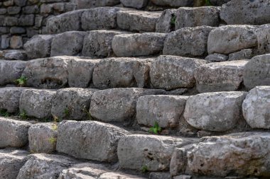 Telchac Yucatan Meksika 'daki Xcambo Maya harabeleri, antik tarihi heykellere, piramitlere ve bereketli manzaraların ortasında sergilenen zengin bir kültürel duvar halısına büyüleyici bir bakış sunuyor.