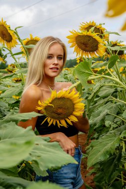 A stunning blonde model gracefully poses in a vibrant sunflower field, basking in the warmth of a summer day. The golden blooms surround her, creating a joyful and radiant outdoor scene. clipart