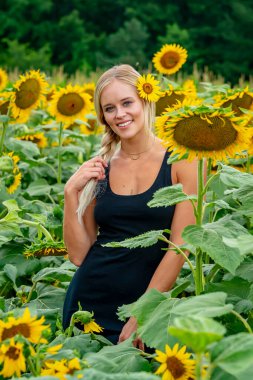 Çekici sarışın bir model canlı bir ayçiçeği tarlasında zarifçe poz veriyor, yaz gününün sıcağında güneşleniyor. Altın çiçekler etrafını sarmış, neşeli ve göz alıcı bir açık hava manzarası yaratıyor..
