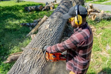Güçlü genç bir adam elektrikli testere kullanıyor, arazisinde ustalıkla odun kesiyor. Hayati bir kış ikmali hazırlarken toprağı temizliyor ve önümüzdeki soğuk aylar için çabayı sıcaklığa dönüştürüyor..