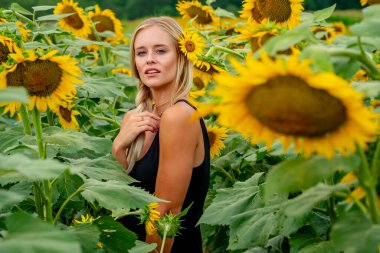 Çekici sarışın bir model canlı bir ayçiçeği tarlasında zarifçe poz veriyor, yaz gününün sıcağında güneşleniyor. Altın çiçekler etrafını sarmış, neşeli ve göz alıcı bir açık hava manzarası yaratıyor..