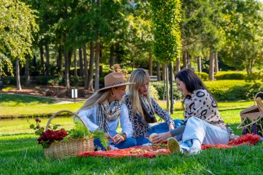 Üç güzel Avrupalı kadın bir battaniyeye oturmuş, altın sonbahar ağaçlarının altında gülüşlerini ve düşüncelerini paylaşıyorlar. Canlı yapraklarla çevrelenmiş olarak, taze, güneşli havada yemek, şarap ve sıcak arkadaşlığın tadını çıkarıyorlar..