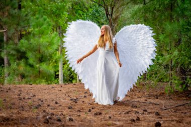 Saf beyaz giyinmiş, narin melek kanatlarıyla süslenmiş çekici genç bir sarışın zarif bir duruş sergiliyor. Onun dingin ifadesi ve akışkan elbisesi ruhani bir varlığı çağrıştırıyor, somutlaştıran melek güzelliğini..