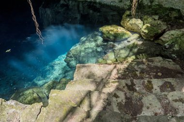 Cuzama, Yucatan, Meksika 'daki güzel sularda.