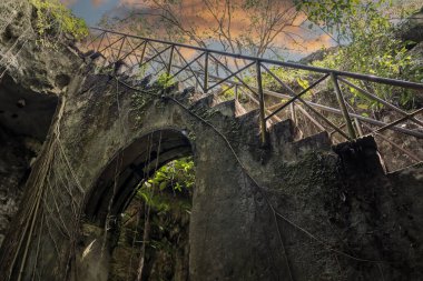 Cuzama, Yucatan, Meksika 'daki güzel sularda.