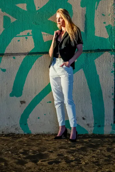 Çekici genç sarışın bir kadın zarif bir şekilde poz verir, batan güneşin sıcacık parıltısıyla yıkanır. Şehir arkaplanı onun tarzını geliştirir. Güzellik ve şehir cazibesinin büyüleyici bir karışımını yaratır..