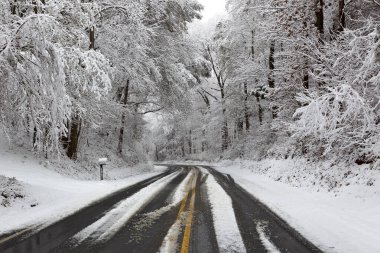 Bir kış manzara göstermek kar ağaçları ile bir dere üzerine düşen