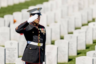Bir deniz piyadesi musluk çalarken dokunaklı bir an başlıyor. Şehit düşmüş bir gaziyi resmi bir selamla onurlandırıyor ve ulusal bir askeri mezarlıkta defnediliyor..