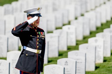 Bir deniz piyadesi musluk çalarken dokunaklı bir an başlıyor. Şehit düşmüş bir gaziyi resmi bir selamla onurlandırıyor ve ulusal bir askeri mezarlıkta defnediliyor..