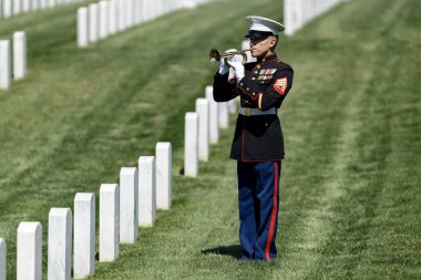 Bir deniz piyadesi musluk çalarken dokunaklı bir an başlıyor. Şehit düşmüş bir gaziyi resmi bir selamla onurlandırıyor ve ulusal bir askeri mezarlıkta defnediliyor..