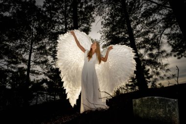 Saf beyaz giyinmiş, narin melek kanatlarıyla süslenmiş çekici genç bir sarışın zarif bir duruş sergiliyor. Onun dingin ifadesi ve akışkan elbisesi ruhani bir varlığı çağrıştırıyor, somutlaştıran melek güzelliğini..